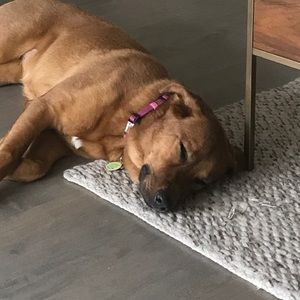 Meet your Posher, Michelle